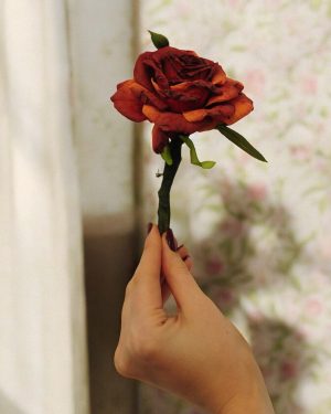 Charlotte Buttonhole