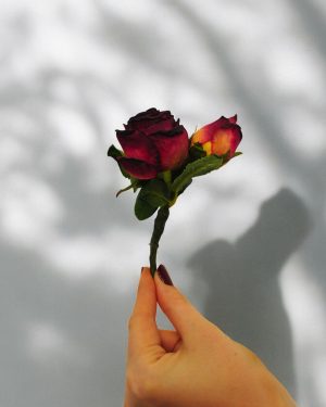 Leah Buttonhole