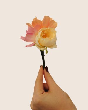 Taylor Buttonhole